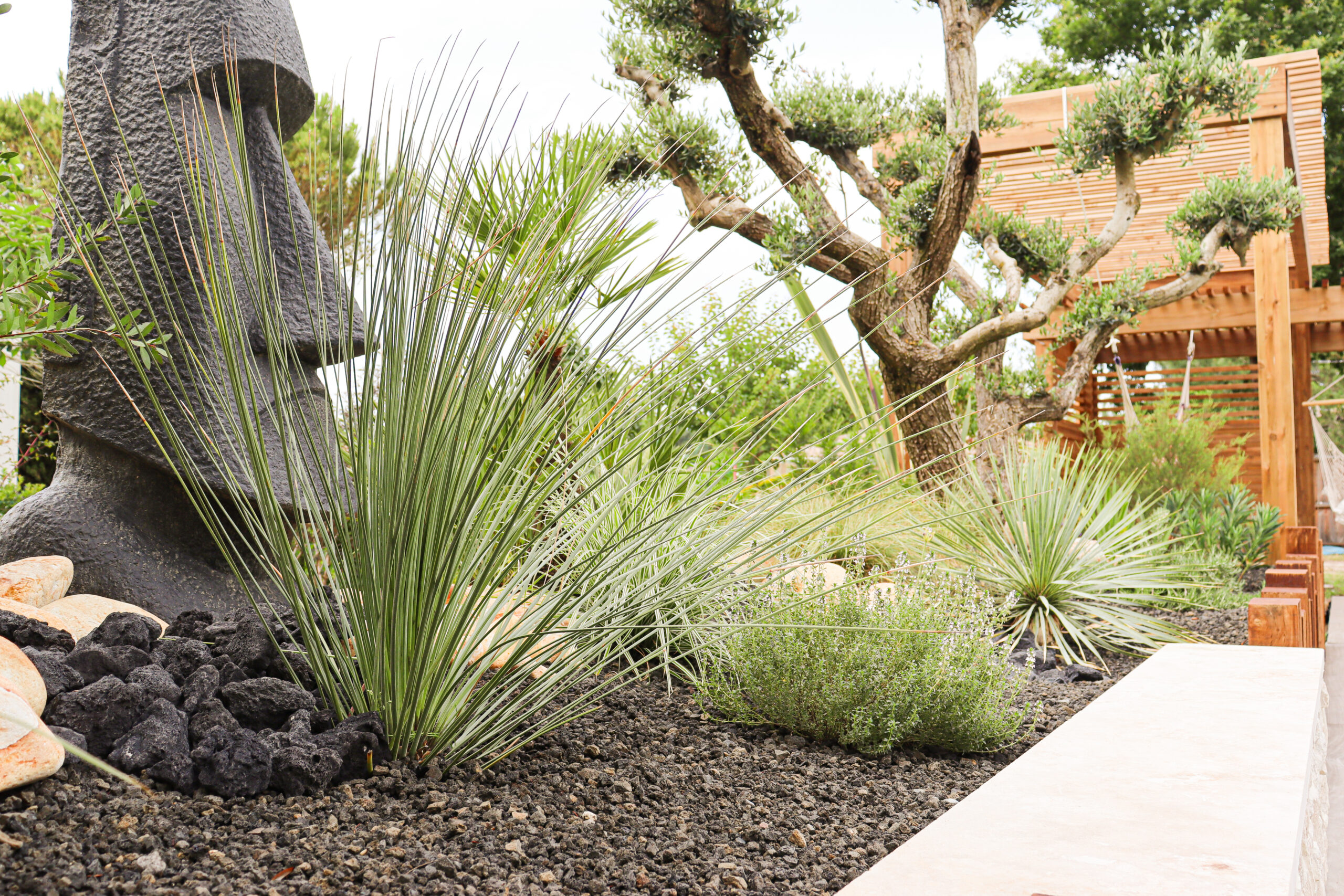 Photo Pergola Dubois_IMG_8617