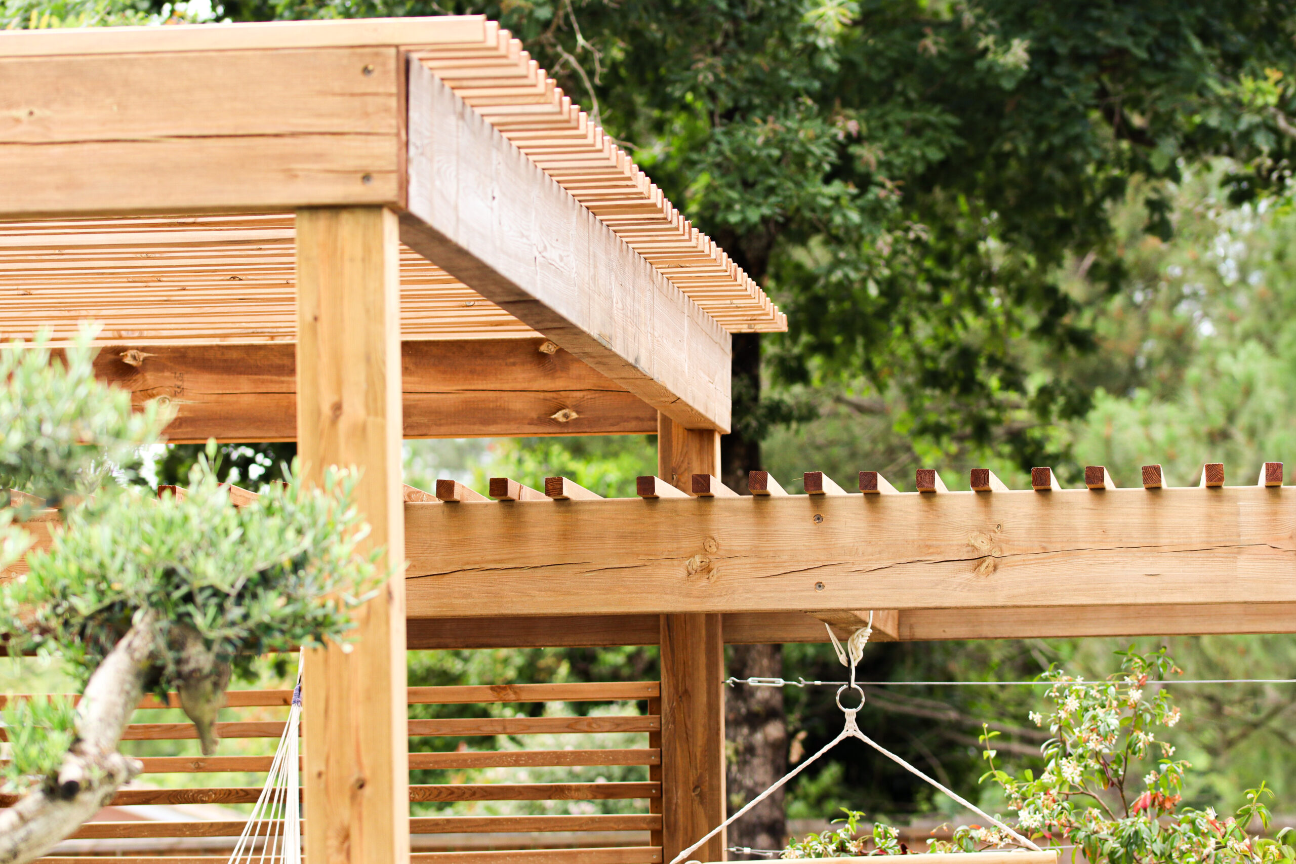 Photo Pergola Dubois_IMG_8673