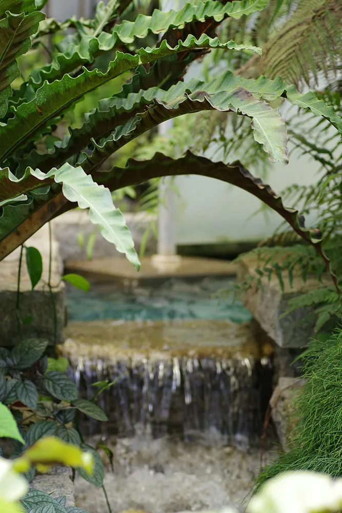Paysagiste à Bordeaux - Fontaine dans un jardin — Jardin à la Carte