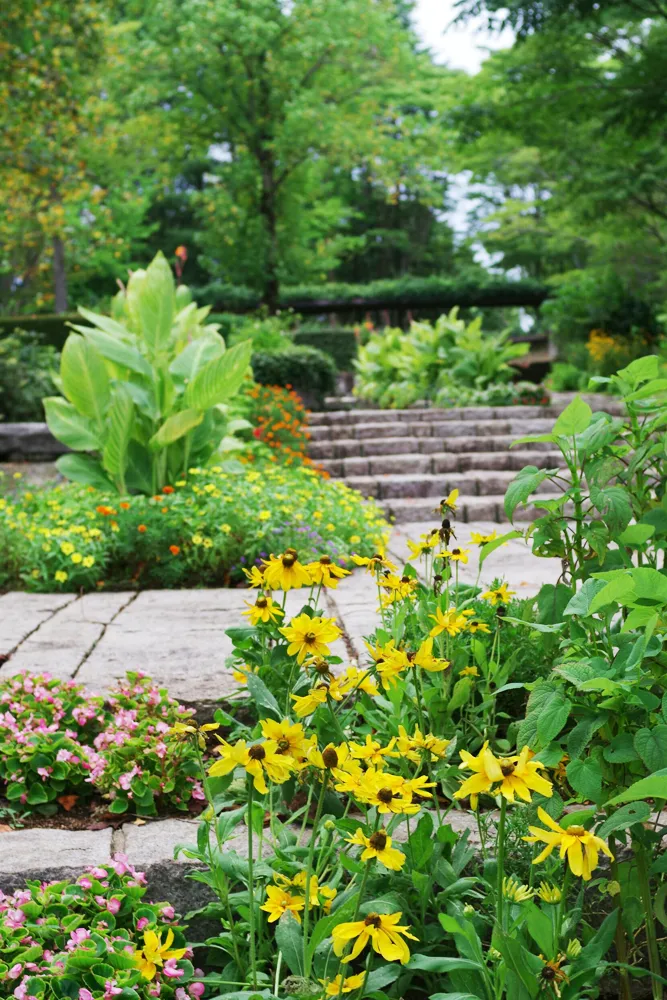 Paysagiste au Bouscat — Massif fleuri — Jardin à la Carte