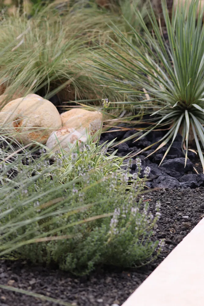 Paysagiste à Mérignac — Gros plan sur un jardin sec — Jardin à la Carte