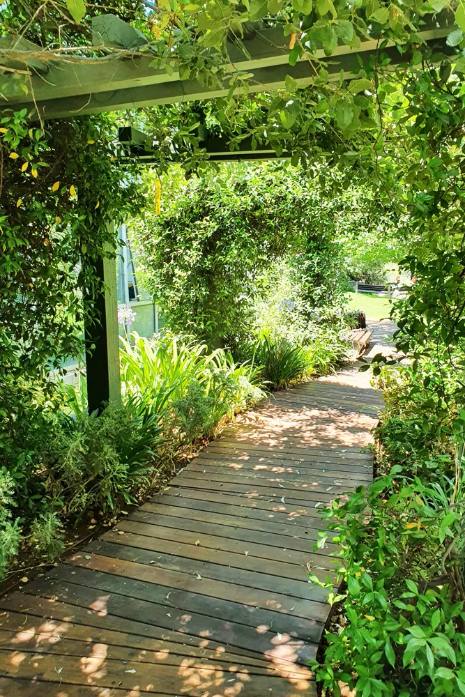 Paysagiste à Talence — Allée de jardin et massifs fleuris — Jardin à la Carte