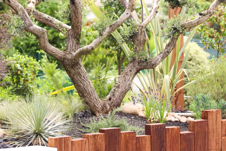 Service de création et aménagement de jardins en Gironde — Jardin à la Carte