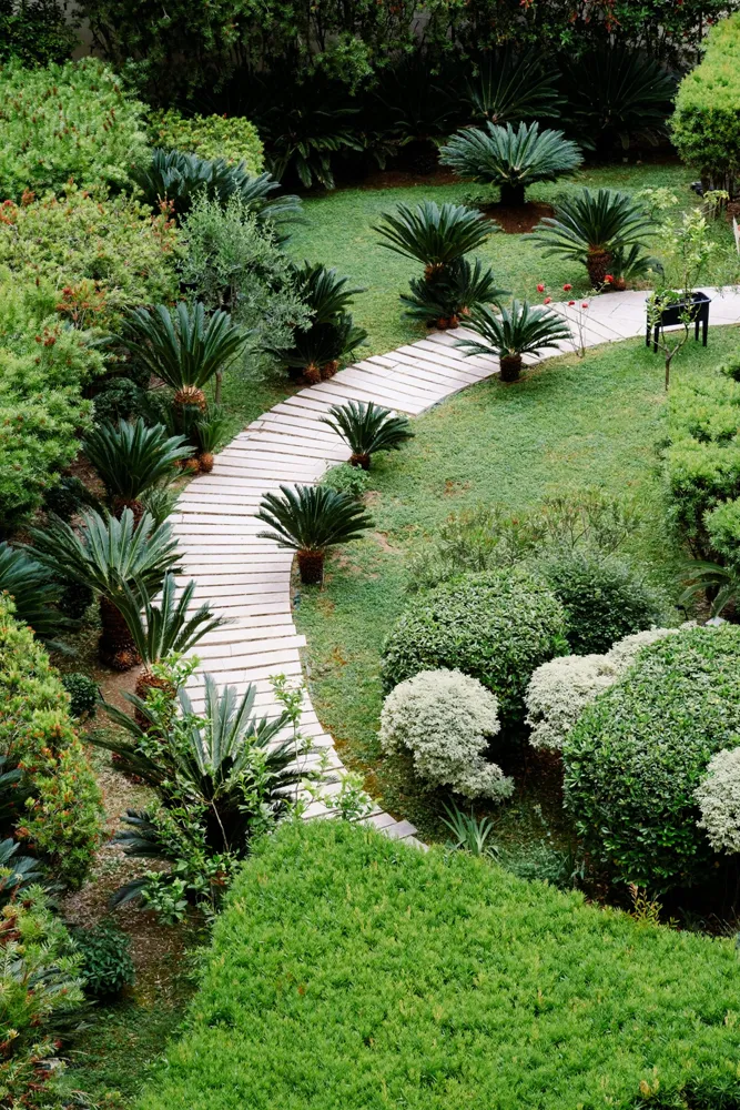 Paysagiste à Arcachon — Allée de jardin en bois de terrasse et palmiers — Jardin à la Carte