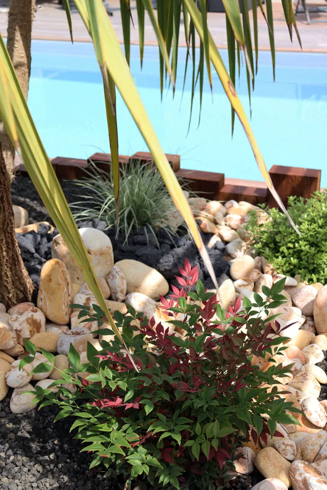 Paysagiste à Gujan-Mestras — Massif jardin du Bassin d'Arcachon — Jardin à la Carte