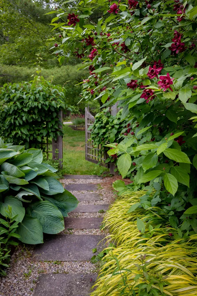 Paysagiste à Villenave d'Ornon — Allée en pierre naturelle au milieu d'un jardin paysager — Jardin à la Carte