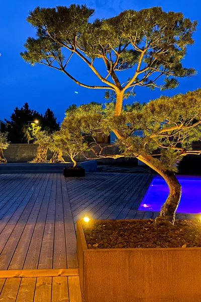 Spots encastrés dans la terrasse en bois et oliviers en jardinière - paysagiste