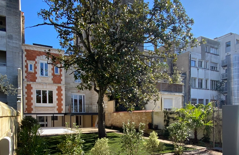 Élagage d'un chêne de 5 mètres par un élagueur grimpeur à Bordeaux, Gironde - Jardin à la Carte