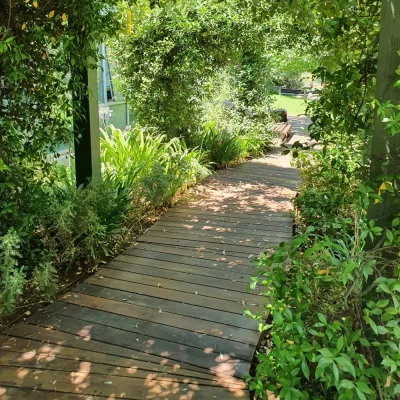 allee-bois-exotique