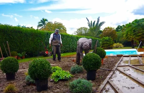 Paysagiste Jardin à la Carte aménageant un jardin neuf pour un nouveau propriétaire en Gironde, Bordeaux Métropole