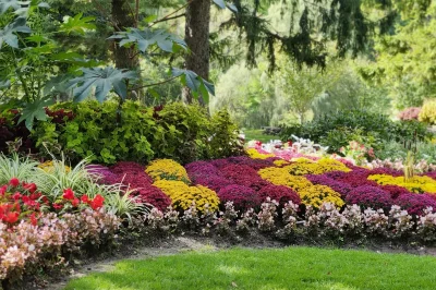 service-entretien-jardin